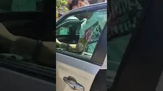 Green tint for ☀️ heat protection inside car