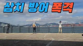 Tuna defense bombing, Busan Oryukdo breakwater, tuna bushri lure shore jigging