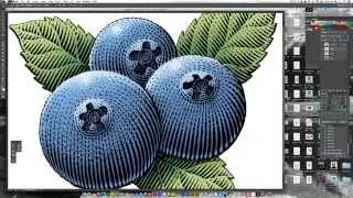Scratchboard Illustration of Blueberries for Food Package Label