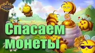 Хроники Хаоса. Спасаем монеты Летнего фестиваля.