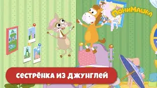 🌟Новая серия🌟 Сестренка из джунглей | ПониМашка | 30 серия
