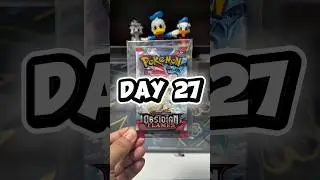 Day 027 of 365 - Opening a Booster Pack Everyday. #pokemontcg  #tcgcommunity #obsidianflames