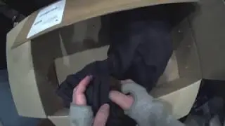 Rescue of baby bat:  This is Tinker