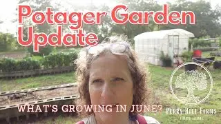 Potager Garden Update: What's Growing in June?