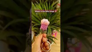 Crochet mini tulip keychain