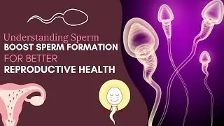 Ways to BOOST Sperm Formation for Better Reproductive Health | Med about you #sperm #spermhealth