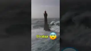 TU TRABAJAR&Iacute;AS AQU&Iacute;? #curiosidades #oceano #shorts