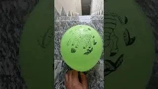 POV: Pink Polka Dot Balloon VS Light Green Zebra Balloon Drop Test 💦🎈 | ASMR Satisfaction in 4K