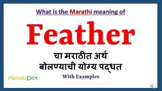 Feather Meaning in Marathi | Feather म्हणजे काय | Feather in Marathi Dictionary |