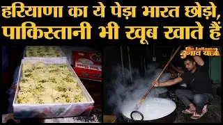 Haryana के Hansi वाले मशहूर पेडे़ की असली और नकली दुकानों में फर्क समझिए और बनते भी देखिए
