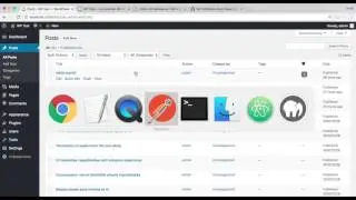 00 WP REST API basic CRUD with Postman - List Posts