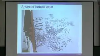 SIPW02 | Dr. Elizabeth Hunke | Where ice is not: The liquid phase in the sea ice model CICE