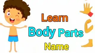 Body Parts Name #learnhumanbodypartsname #cartoonlearning #cartoon #rhymes #kids #childrenscartoon