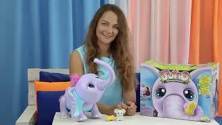 Spin Master Zoomer Интерактивный слонёнок Juno Джуно
