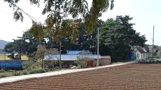 20231014 131303 #옛집 #시골집 #고향집 #농어촌집 #알고보니한달란트