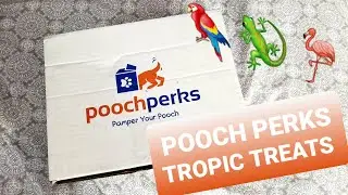 Pooch Perks Treats Only May Subscription Box! #poochperks !