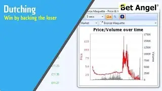 Betfair trading strategies - Win by backing the loser