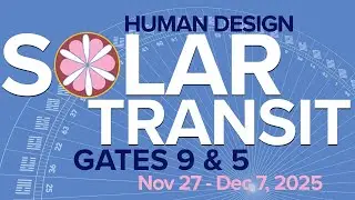 Exploring Human Design Gates 9 & 5 | Nov 27 - Dec 7, 2025 #humandesign #suntransit #selfdiscovery
