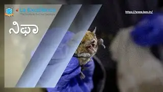 NIPAH Virus in Kannada by Namma Laex Bengaluru