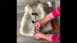 Old to New: How to restore faux fur