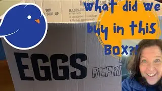 Giant Mystery Box Estate Sale Shop with Me!