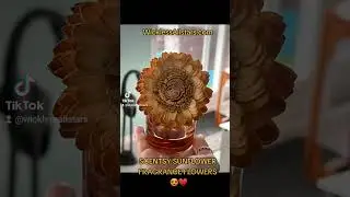 #SCENTSY 🌞 SUNFLOWER FRAGRANCE FLOWERS ❤️ #shorts