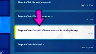 stage 1 of 20 - Evolve EvoChrome weapons by dealing damage