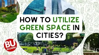 How Do We Utilize Green Space in Cities to Combat Climate Change?