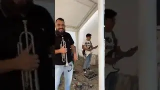 ensayo ali telez