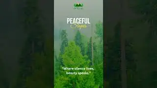 | Luxury Residential Project | District 92 | Real Estate Pakistan | Murree Residential Project |