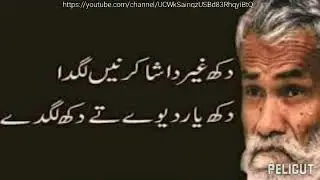 dil wada akhdy nal tedea howa- new_ saraiki_ poetry_ status_story_ WhatsApp_2022_by abduljabbarsagar