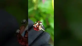 Natural Brown Zircon#gemstone #viralvideo#Maalinfo #ruby #gems