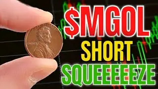MGOL STOCK: JUST GETTING STARTED! ($MGOL)