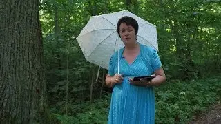 1062. Хлеб на каждый день. Город Секелаг.