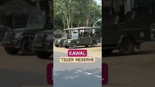 Kawal tiger reserve in Jannaram #tiger #forest #jungle #junglesafari  #shorts
