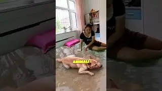 Non sapeva cosa stesse succedendo al suo letto!