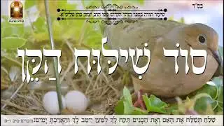 הרב יצחק כהן - מצוות שילוח הקן - שיעור בזוהר הקדוש