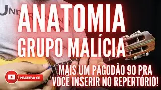 Anatomia | Michel do Cavaco