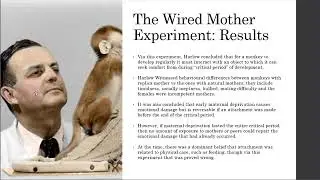 Harry Harlow&rsquo;s and Mary Ainsworth&rsquo;s Research Comparison - Tom Prentice