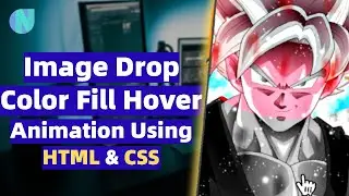 Image Drop Color Fill Hover Animation Using HTML & CSS | Web Development Series | Newton School