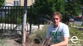 Vote for Earth Day Network - Chase Community Giving