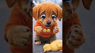 True Friendship Puppy & Duck Emotional Story 😢 #puppystories #puppy #dog #duck #shortvideo #shorts