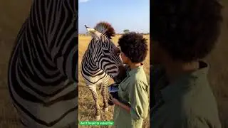 When Animals Feel Safe With Humans 🐾❤️