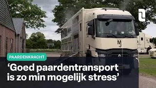 Marcel Jordan vervoert paarden door heel Europa | Paardenkracht 🐎