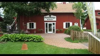 In Business: Forestedge Winery