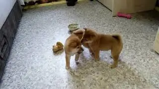 VID 20190724 185149