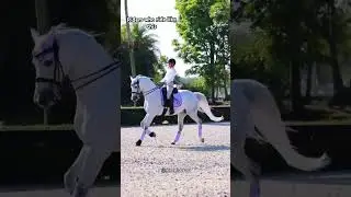 All riders are beginners before pros #equestrian #horses #horsesports #horseriding #equestrianrider
