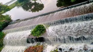Beautiful Chitteri lake, Santhosapuram, Chennai
