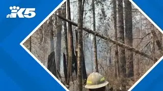 Bear Gulch fire continues to grow despite rain