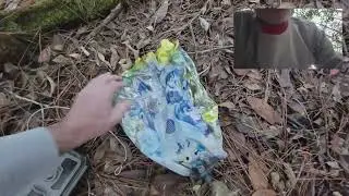 Scouting for deer and hogs in florida